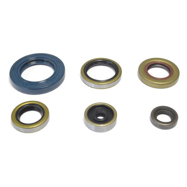 Engine Oil Seals Kit P400270400047