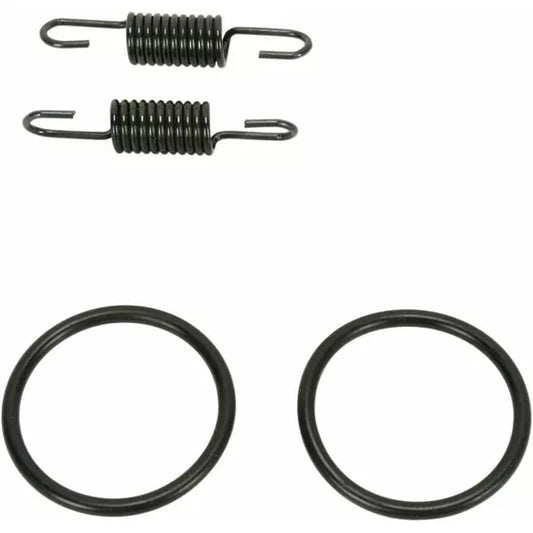 Spring/Oring Kit Kx80/100 011309
