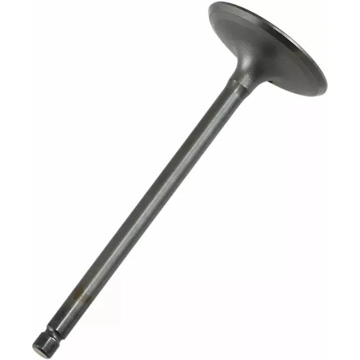 Valve In Steel Raptor/Grizzly 28.2706-2