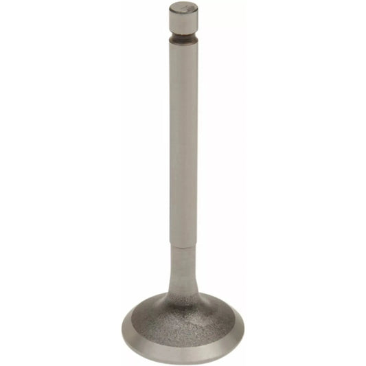 Valve Ex Steel Ttr/Ybr125 28.2200-1