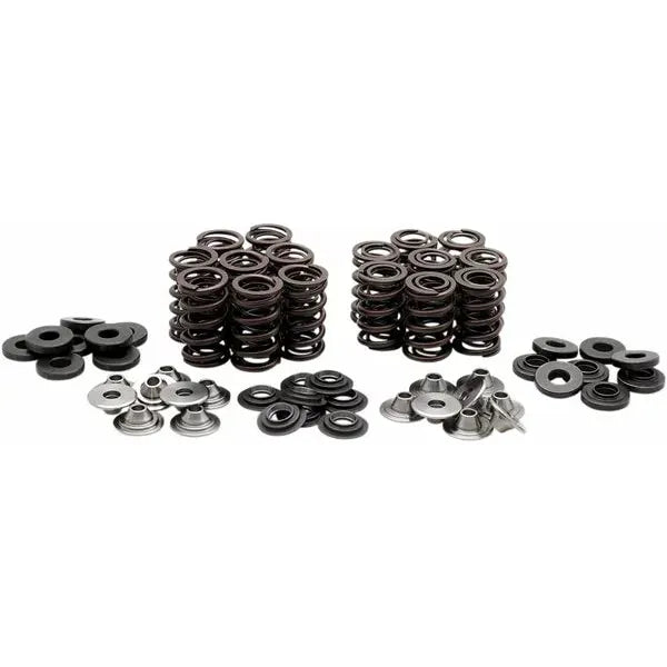 Valve Spring Kit Zx10R 40-40850