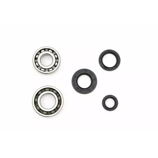 Crankshaft Bearings Nk100.69