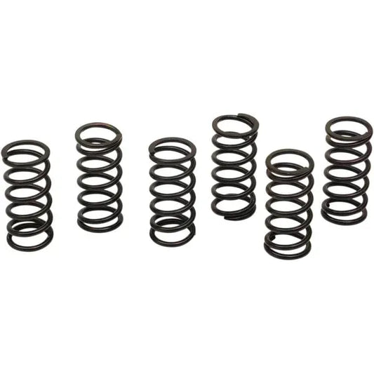 Clutch Spring Kit Kaw