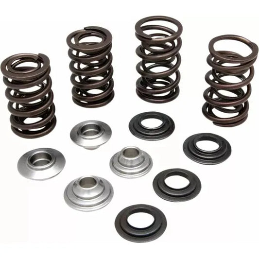 Kit Valve Spring Ltr 450 60-60280