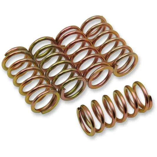 Clutch Spring Kit Hksy