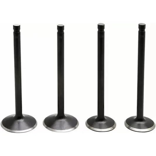 Valve Kit 86-03 Evo/883 20-22700