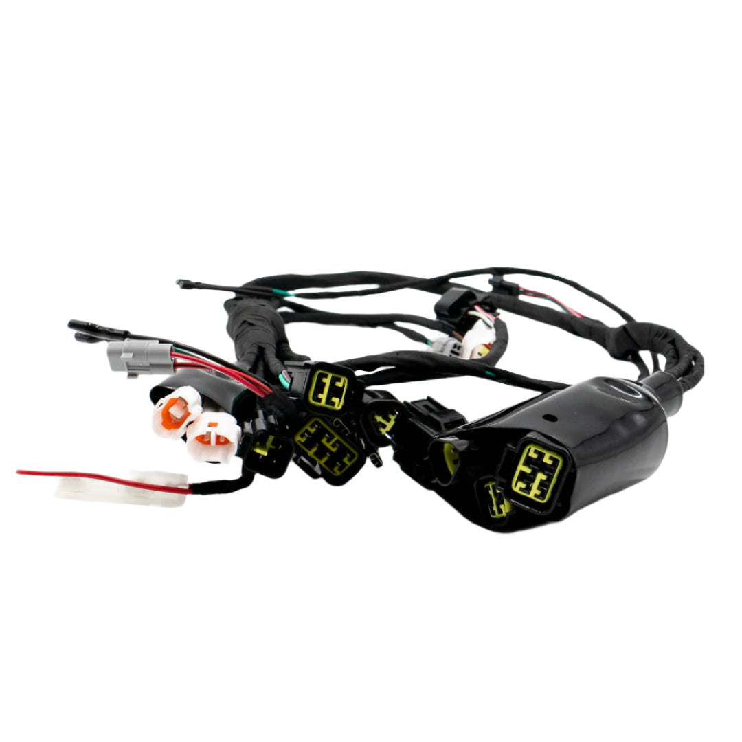 Main Cable Harness
