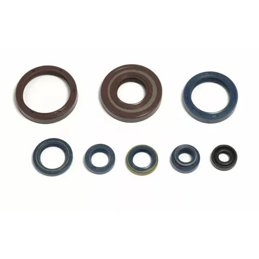 Engine Oil Seals Kit P400220400128