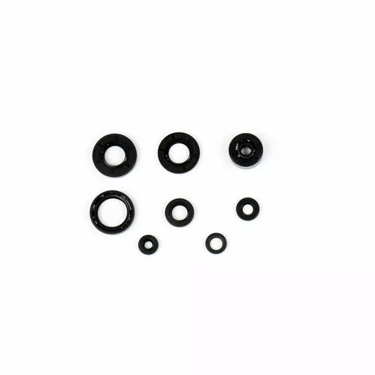 Engine Oil Seals Kit P4E0485400010