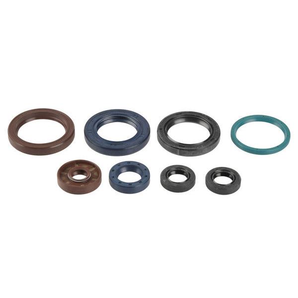 Engine Oil Seals Kit P400270400016