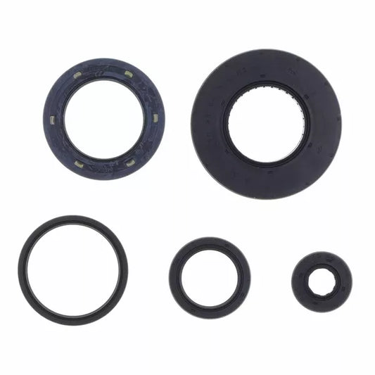Engine Oil Seals Kit P400210400278