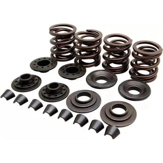 Spring Kit Vlv Oe 57-83Xl 20-20440