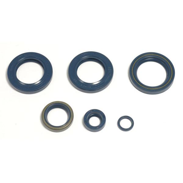 Engine Oil Seals Kit P400270400051