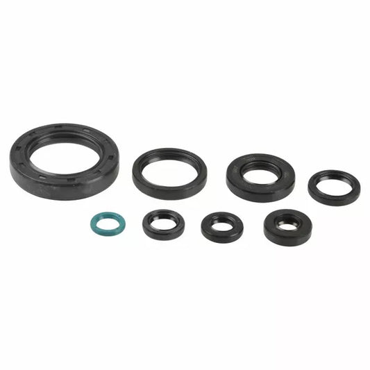 Engine Oil Seals Kit P400210400252