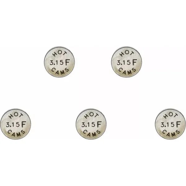Valve Shim 5Pk 10.0X3.15 5Pk1000315