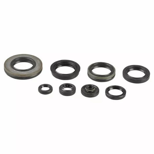 Engine Oil Seals Kit P400510400035