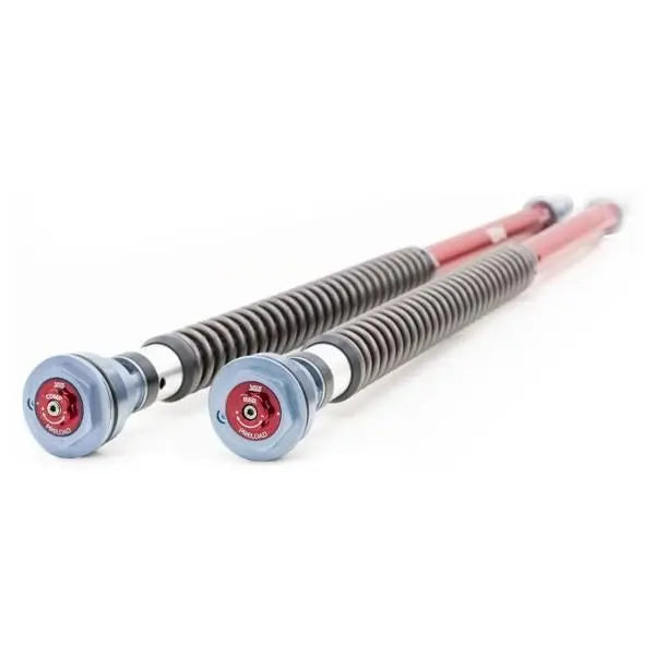 CARTRIDGE KIT 880 MM TRANSALP 23+