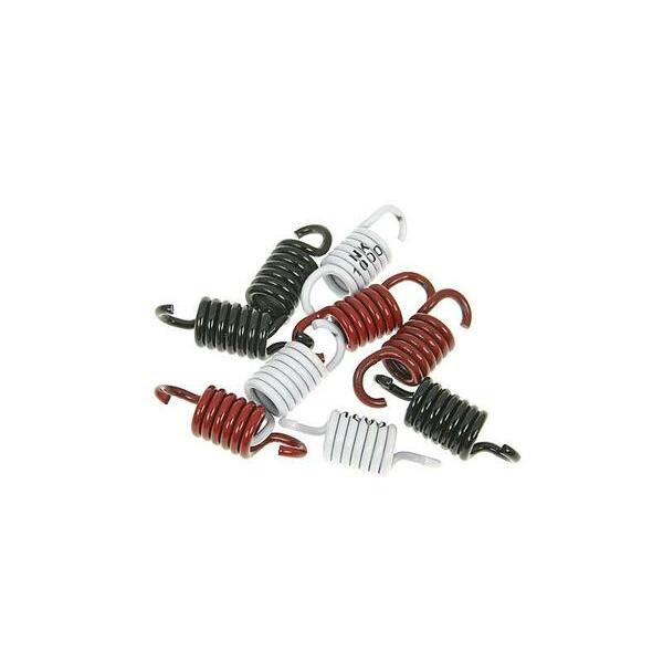 Clutch Spring Kit Sport Nk900.43