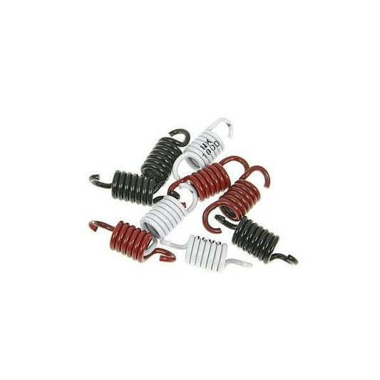 Clutch Spring Kit Sport Nk900.43