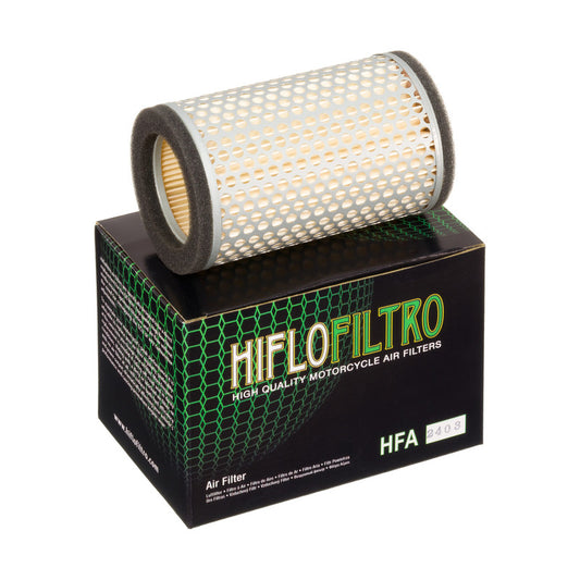 HFA2403 Air Filter
