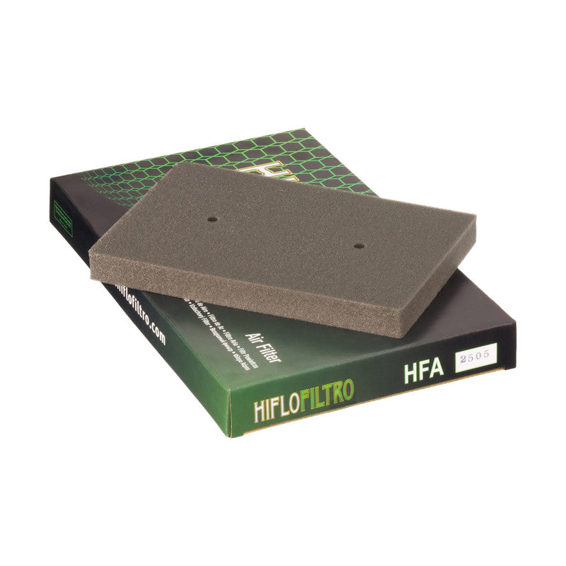HFA2505 Air Filter