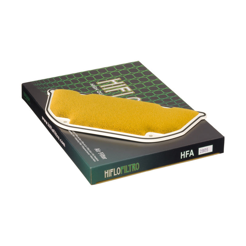 HFA2905 Air Filter
