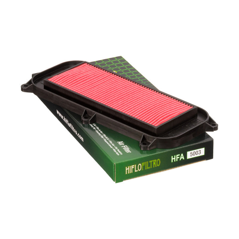 HFA5003 Air Filter
