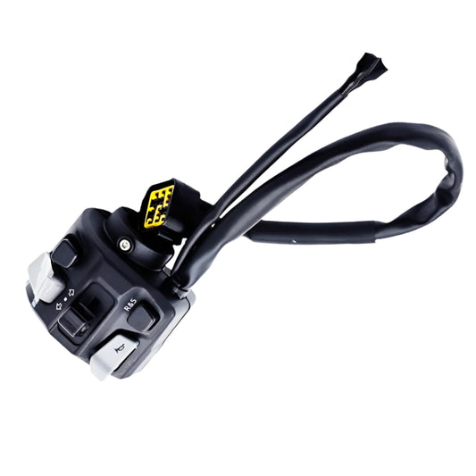 Switch Assembly (Left)