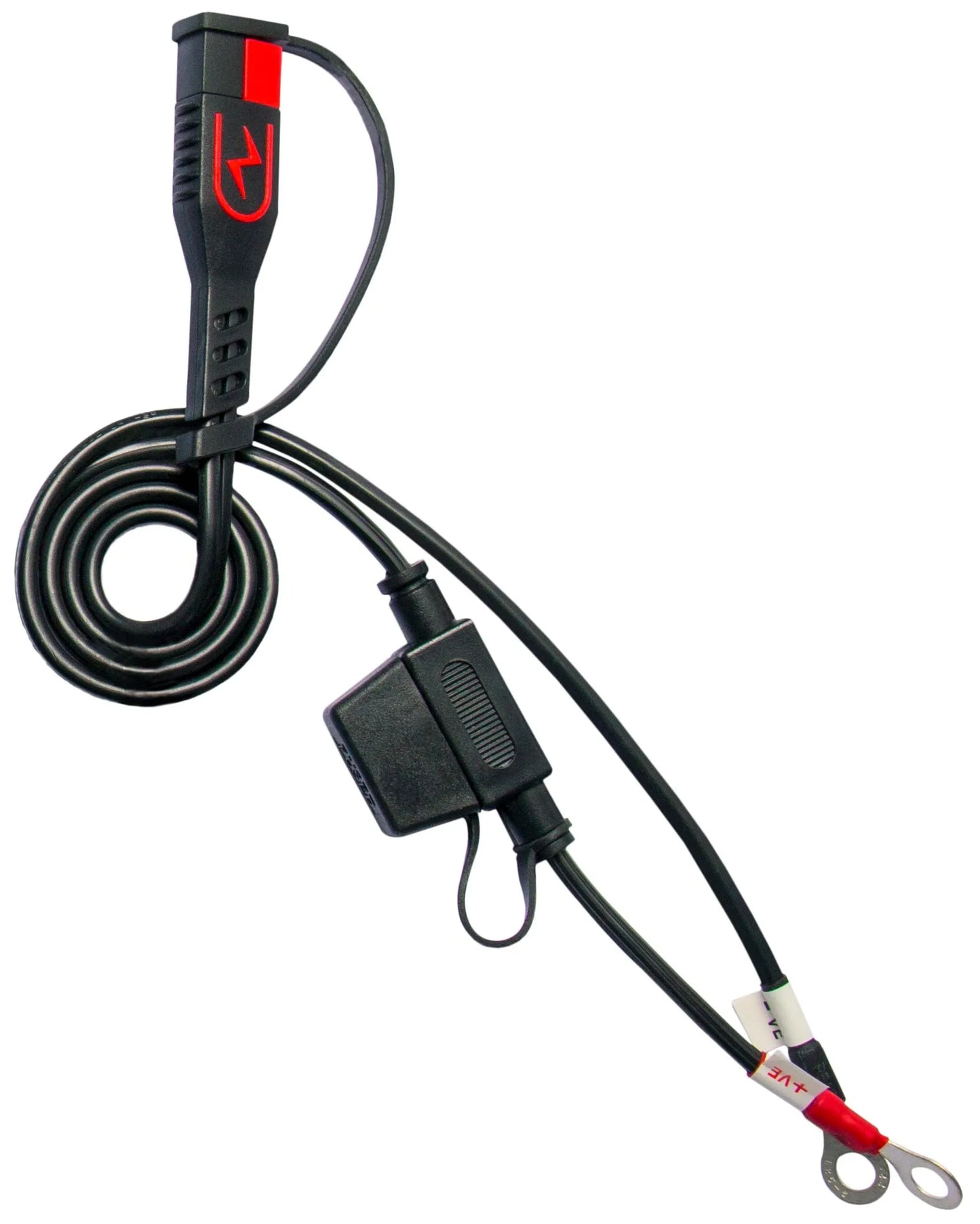 CHARGER BS30 12V 3A