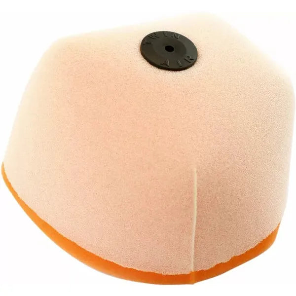Filter  Air Rmz 450 153220