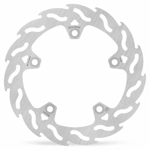 Brake Disc Flame Rear 110709