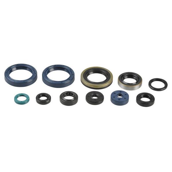 Engine Oil Seals Kit P400250400016