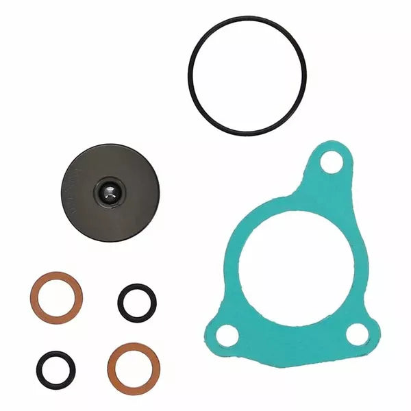 Salve Cylinder Rebuilt Kit Rms-2313084