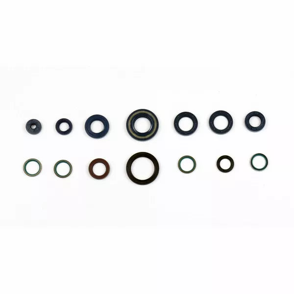 Engine Oil Seals Kit P400110400101