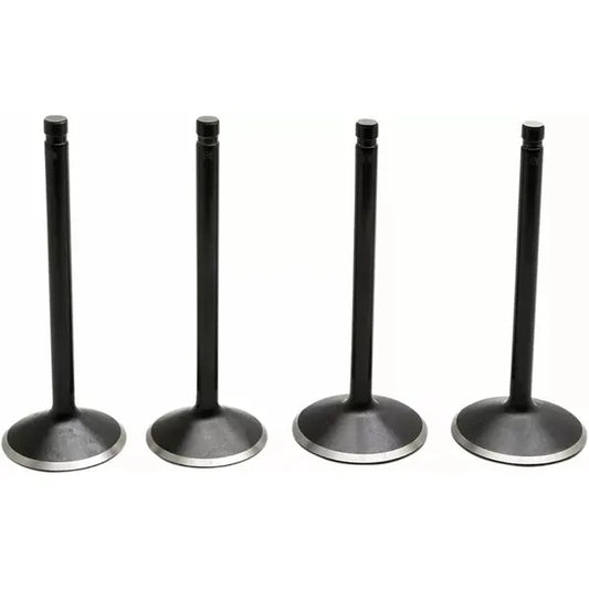 Valve Kit 84-98 Evo 20-22600
