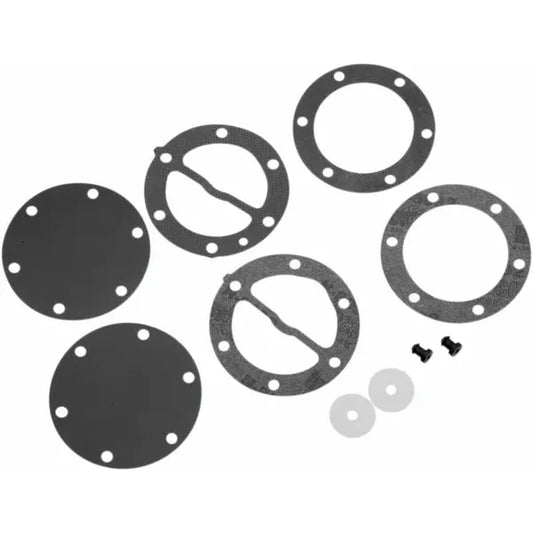 Fuel Pump Repair Kit 451455
