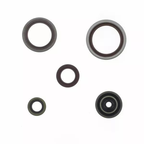 Engine Oil Seals Kit P400060400014