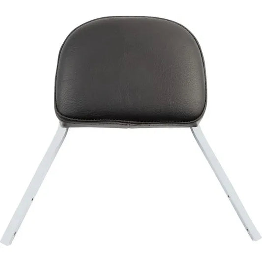 Sissy Bar Mini Wrrr 04-09