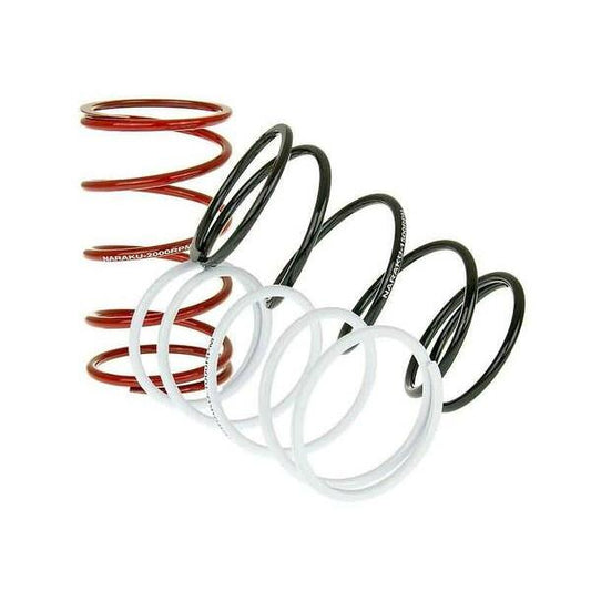 Trq Spring Set Sport-3Pcs Nk900.50