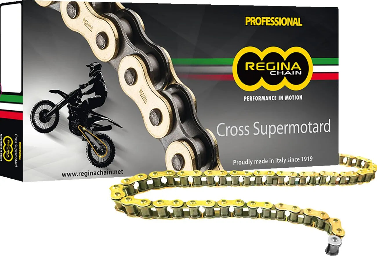 CHAIN 520RH2 GB 110C