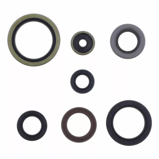 Engine Oil Seals Kit P400270400083