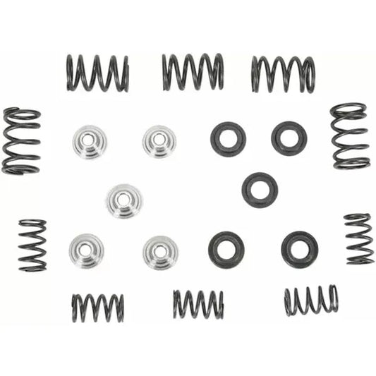 Spring Kit Yfm660R 01-02 80-80030