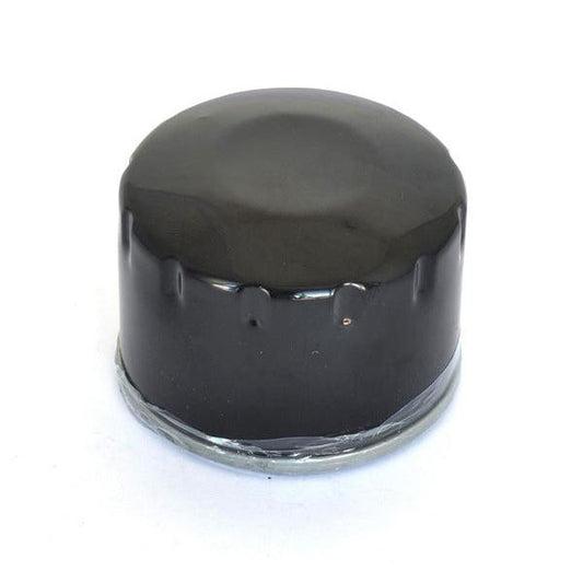 Oil Filter Bmw FFP024