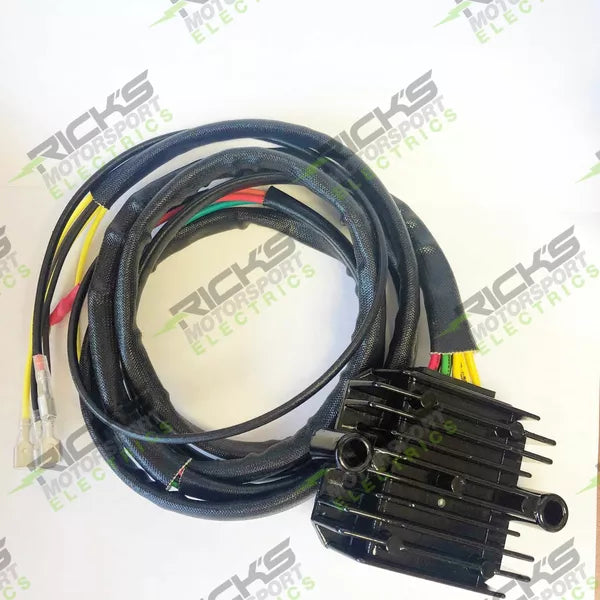 Reg L-Ion Bmw Univ 14-002 14-0012