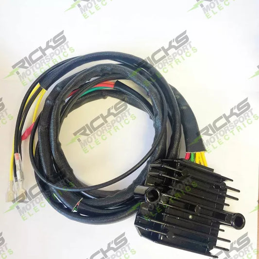 Reg L-Ion Bmw Univ 14-002 14-0012