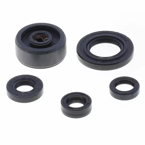 Engine Oil Seals Kit P400485400164