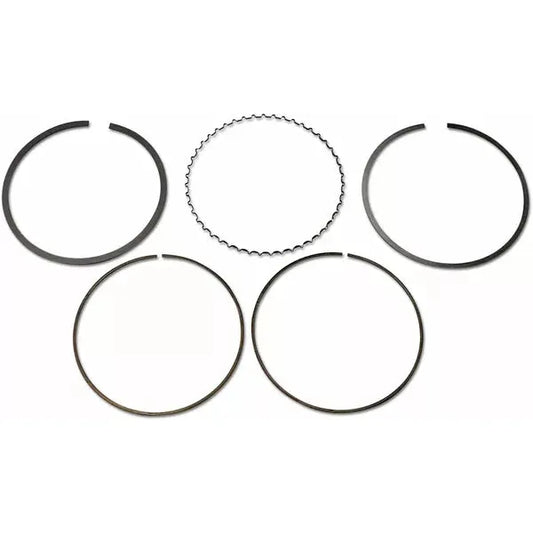 Piston Ring Set S41316062