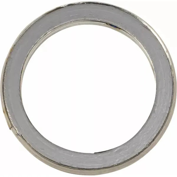 Exhaust Gasket Bmw S410010012008