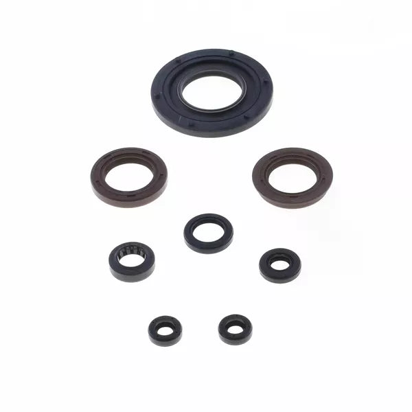 Engine Oil Seals Kit P400510400255