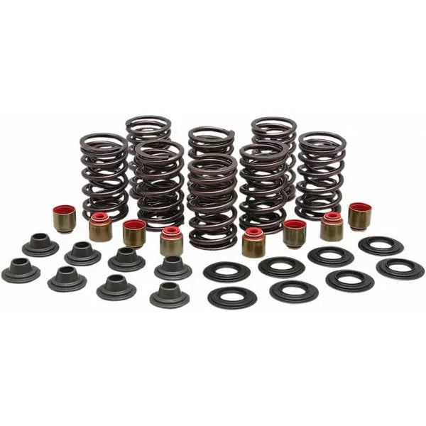Spring Kit Valve Stl Rzr 82-83000